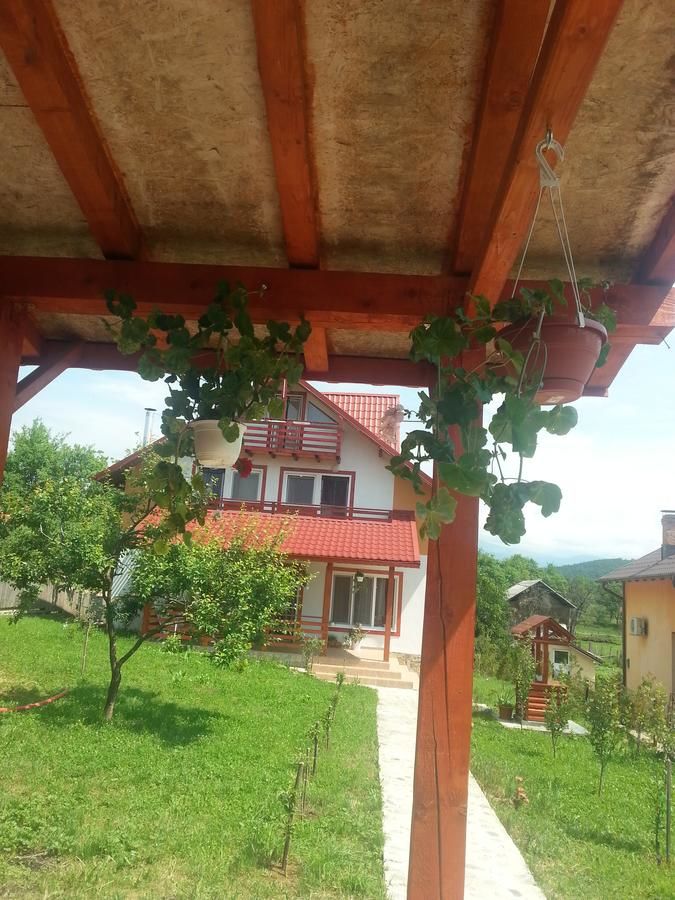 Фермерские дома Pensiunea Agroturistica Ioana Brăduleţ-17